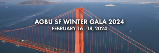SF Winter Gala thumbnail