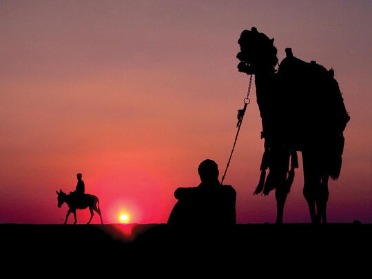 Bedouins ride camels at sunset in the Judea desert.